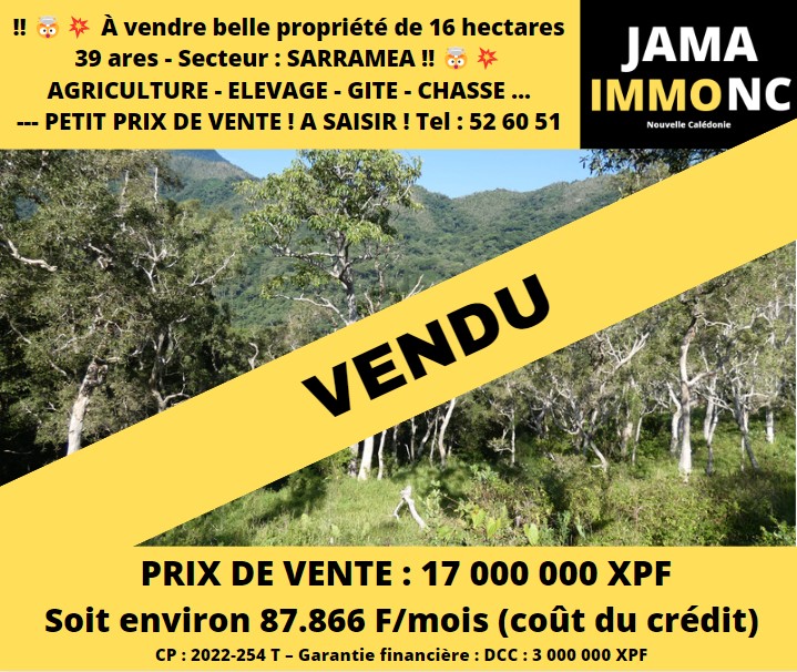 VENDU – Propriété nue et montagneux de 16 hectares à viabiliser et à clôturer à Sarraméa